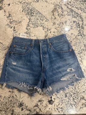 Levi's Distressed Blue Denim Cutoff Shorts